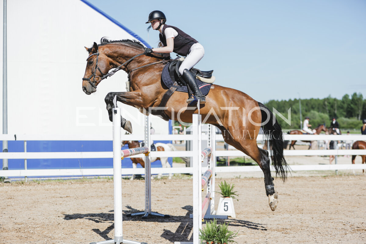 Gramina_Jaanipaev_2026_120_015