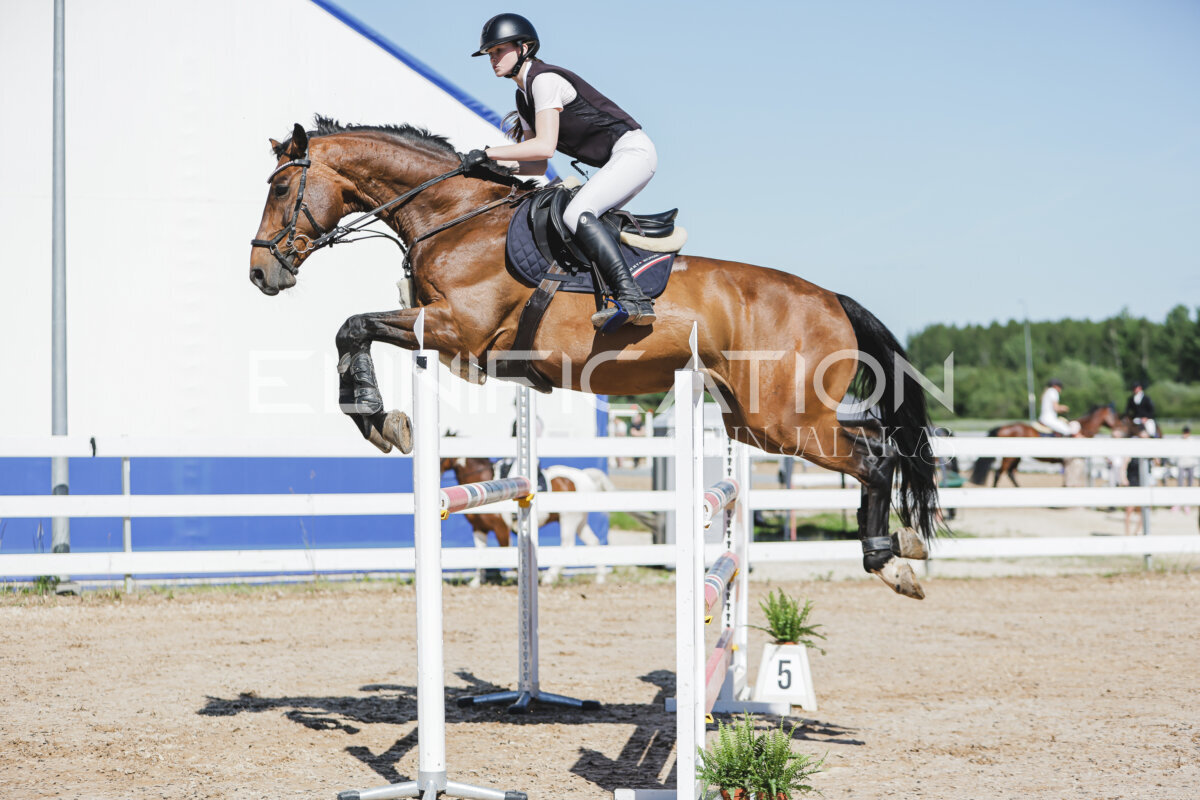 Gramina_Jaanipaev_2026_120_016