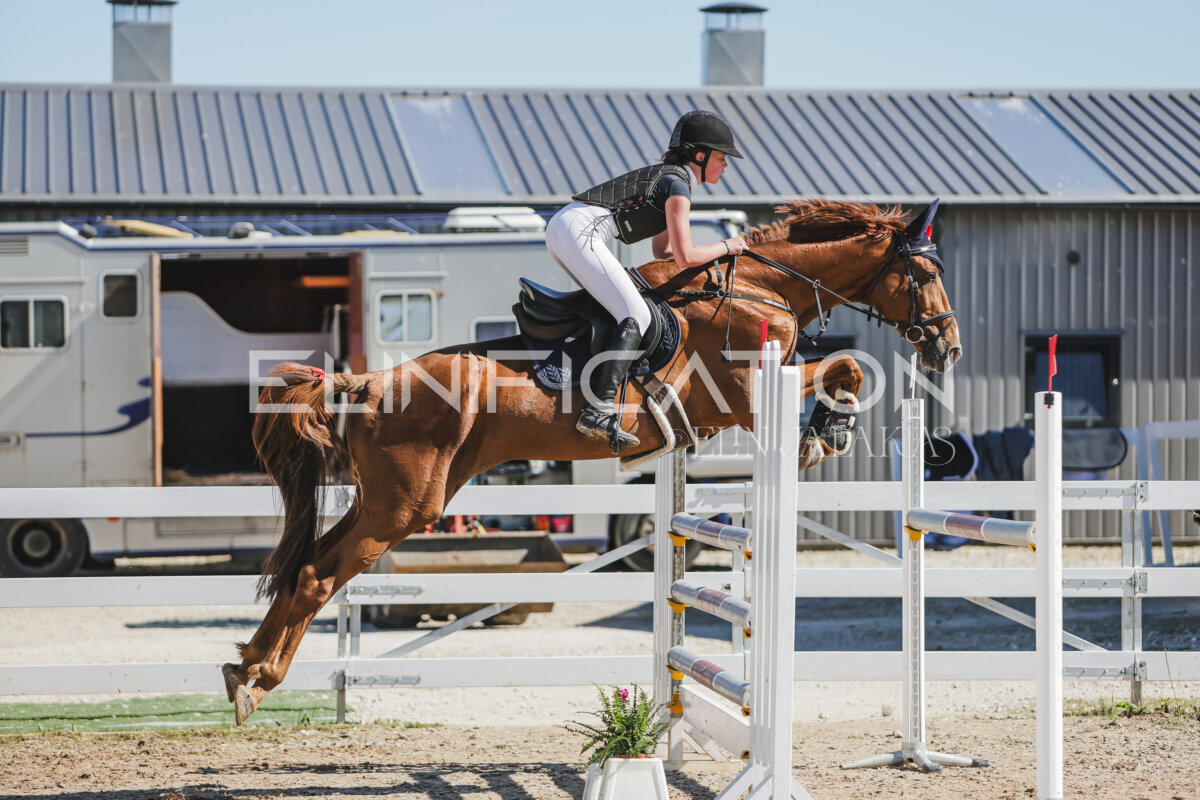 Gramina_Jaanipaev_2026_120_045
