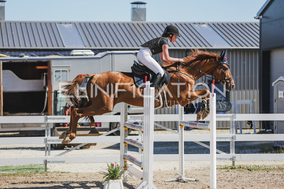 Gramina_Jaanipaev_2026_120_047