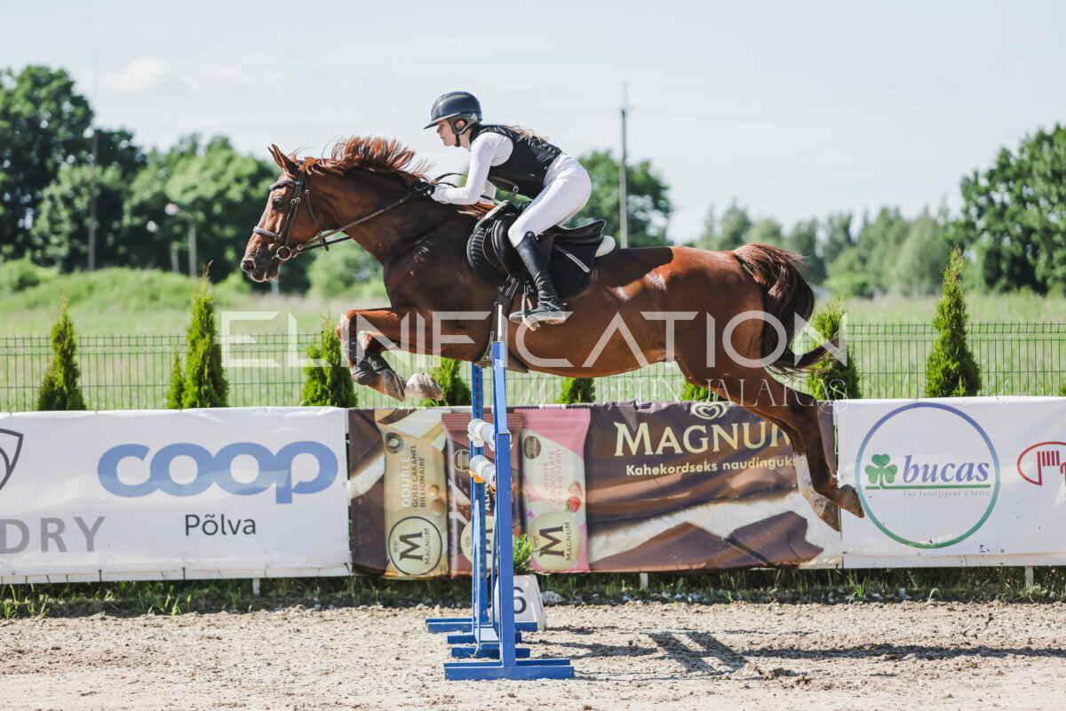 Gramina_Jaanipaev_2026_120_077