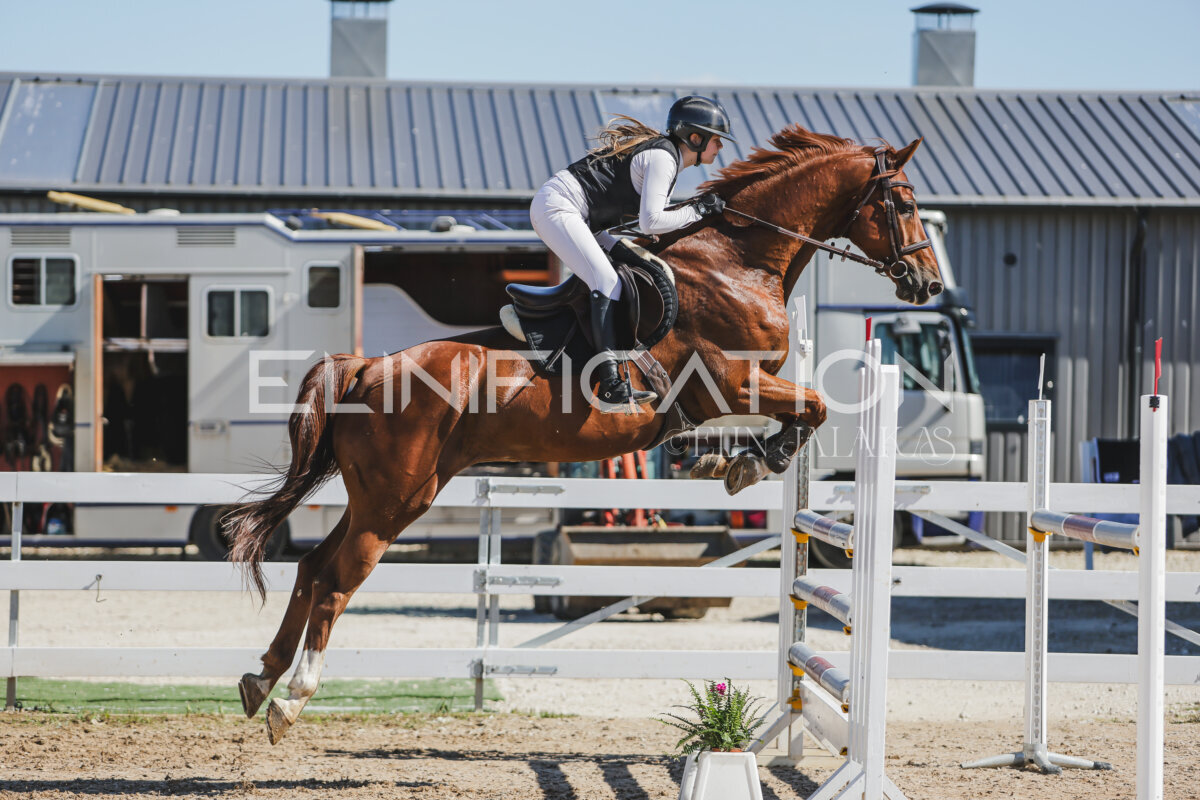 Gramina_Jaanipaev_2026_120_080