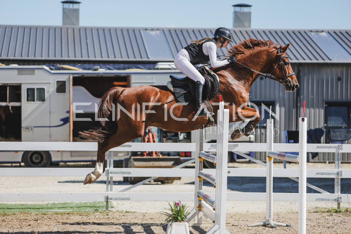 Gramina_Jaanipaev_2026_120_082