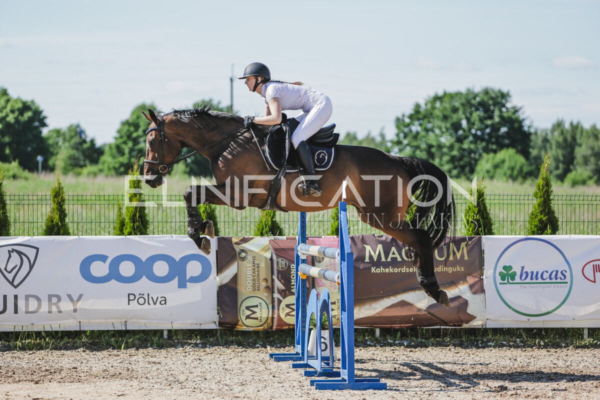 Gramina_Jaanipaev_2026_120_100