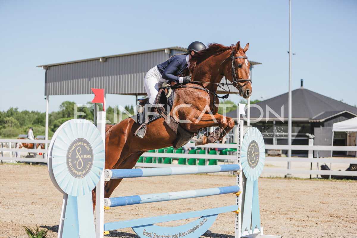 Gramina_Jaanipaev_2026_120_105