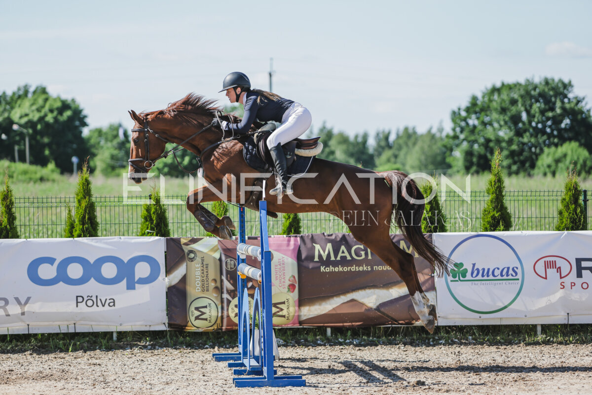 Gramina_Jaanipaev_2026_120_109