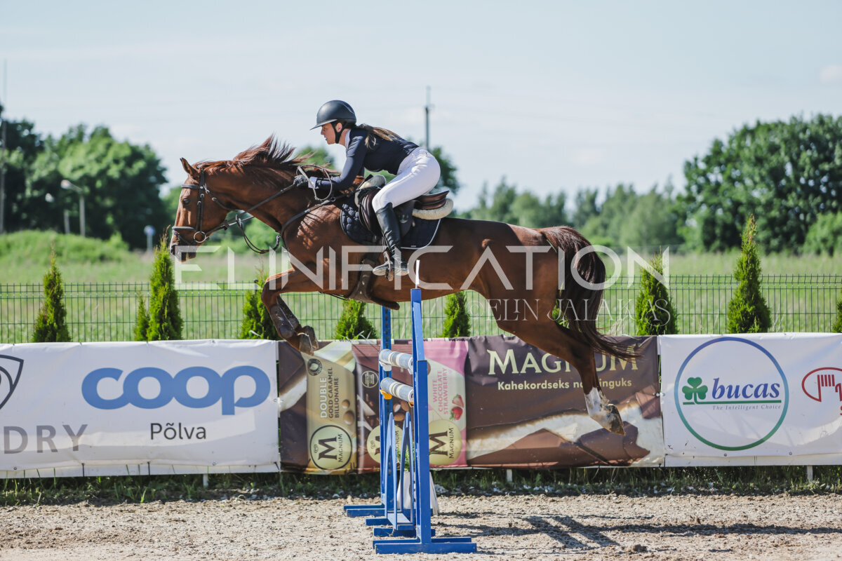 Gramina_Jaanipaev_2026_120_110