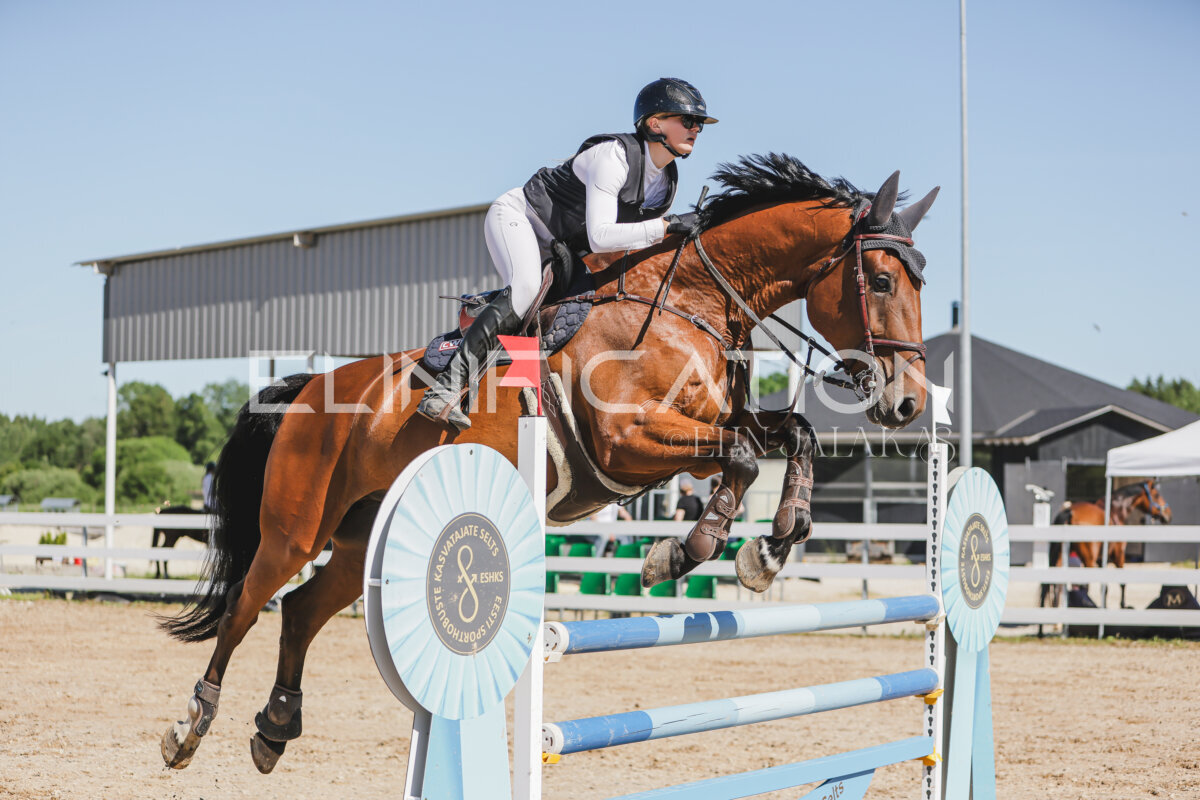 Gramina_Jaanipaev_2026_120_114