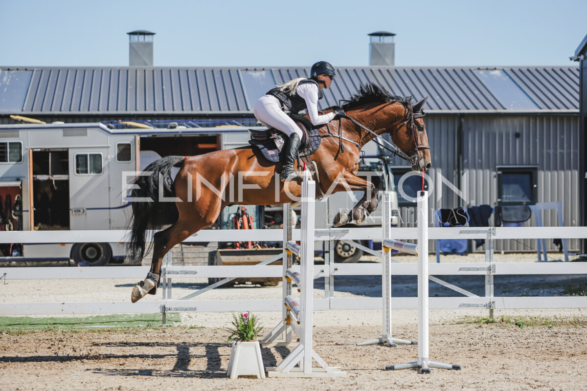 Gramina_Jaanipaev_2026_120_119