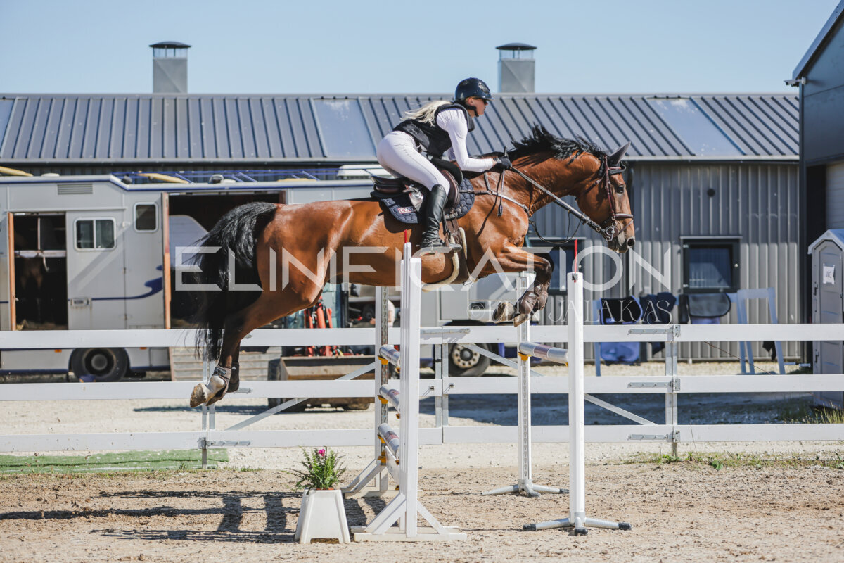 Gramina_Jaanipaev_2026_120_120