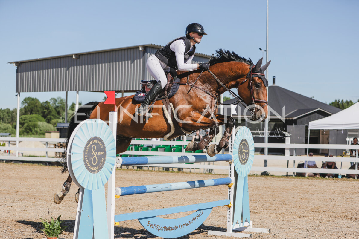 Gramina_Jaanipaev_2026_130_011