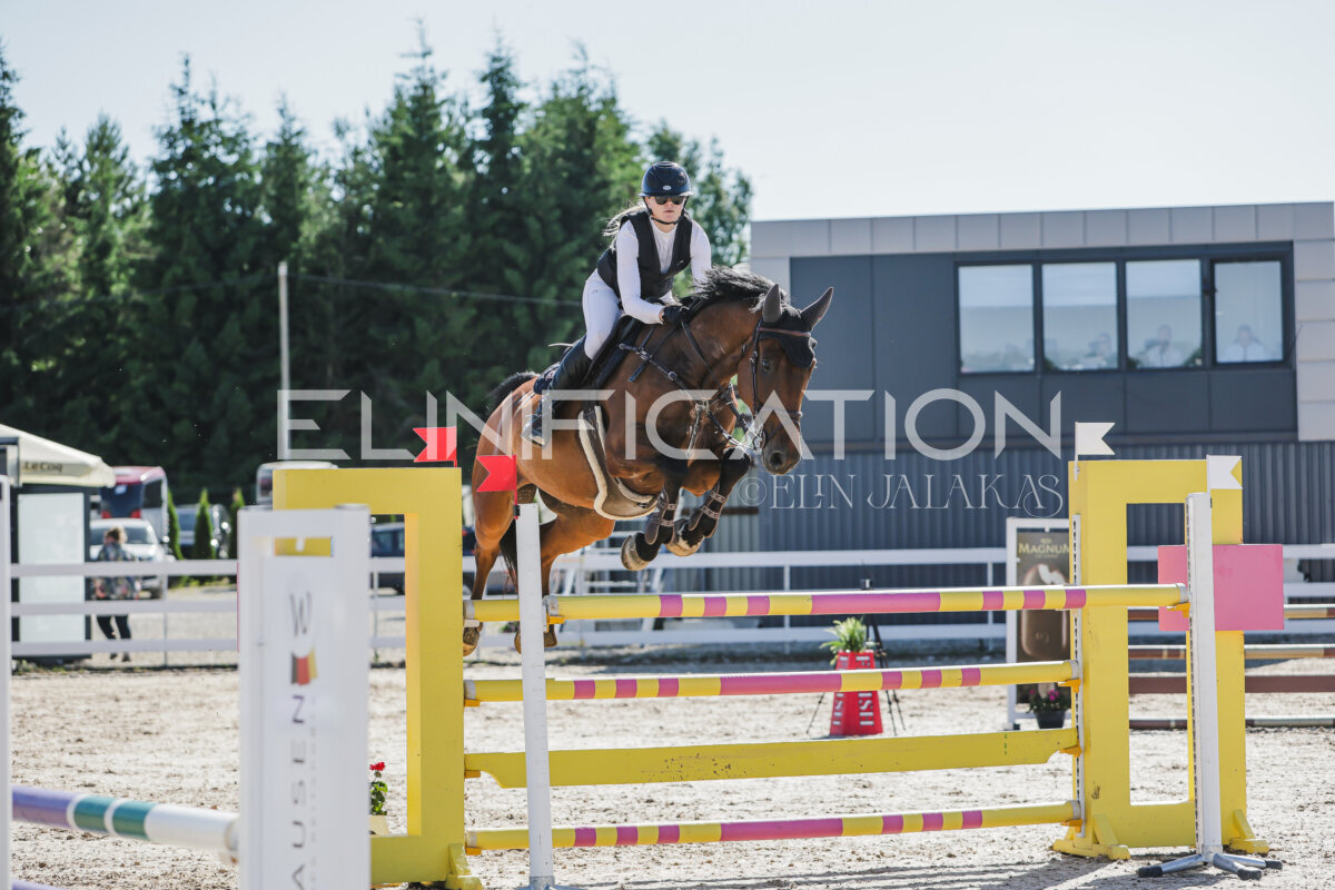 Gramina_Jaanipaev_2026_130_018