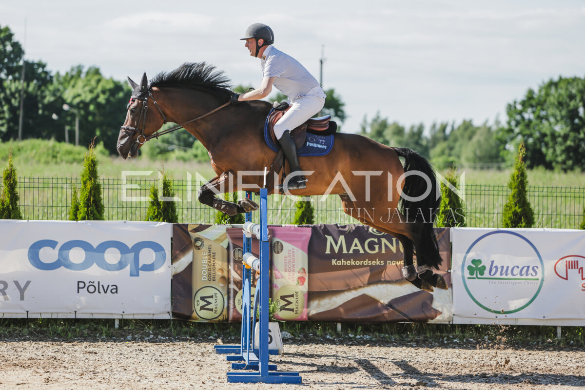 Gramina_Jaanipaev_2026_130_027