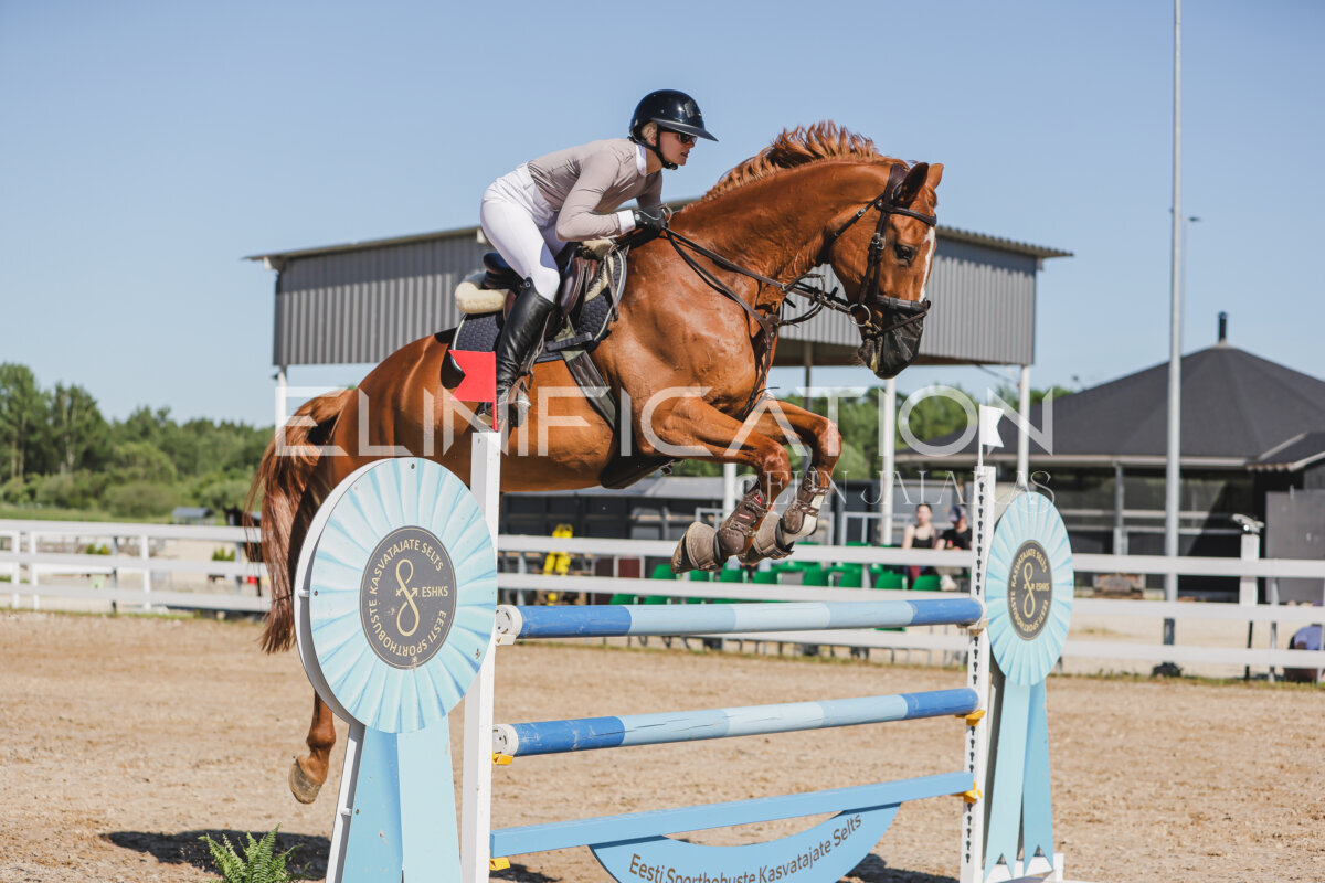 Gramina_Jaanipaev_2026_130_028