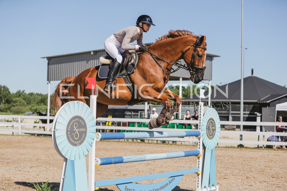 Gramina_Jaanipaev_2026_130_029