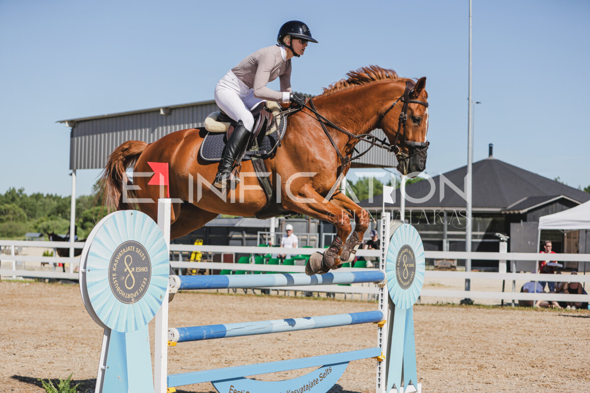 Gramina_Jaanipaev_2026_130_030