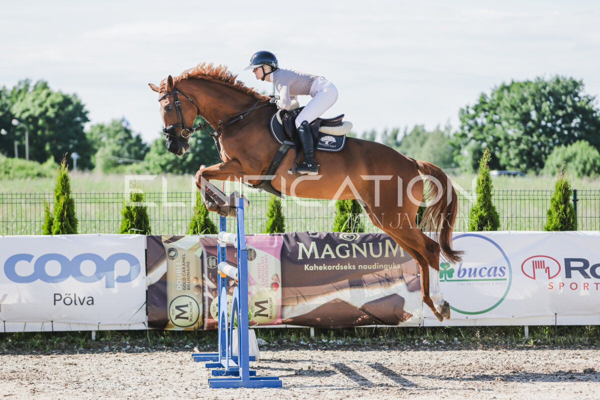Gramina_Jaanipaev_2026_130_036