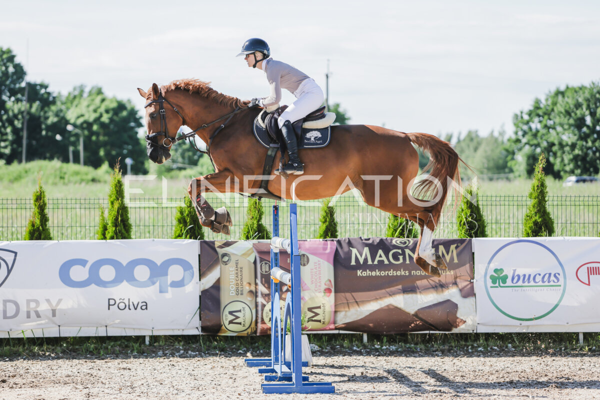 Gramina_Jaanipaev_2026_130_038