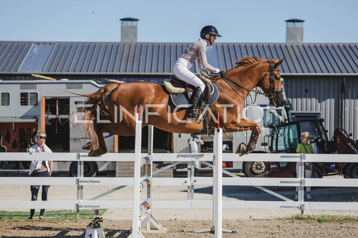 Gramina_Jaanipaev_2026_130_042