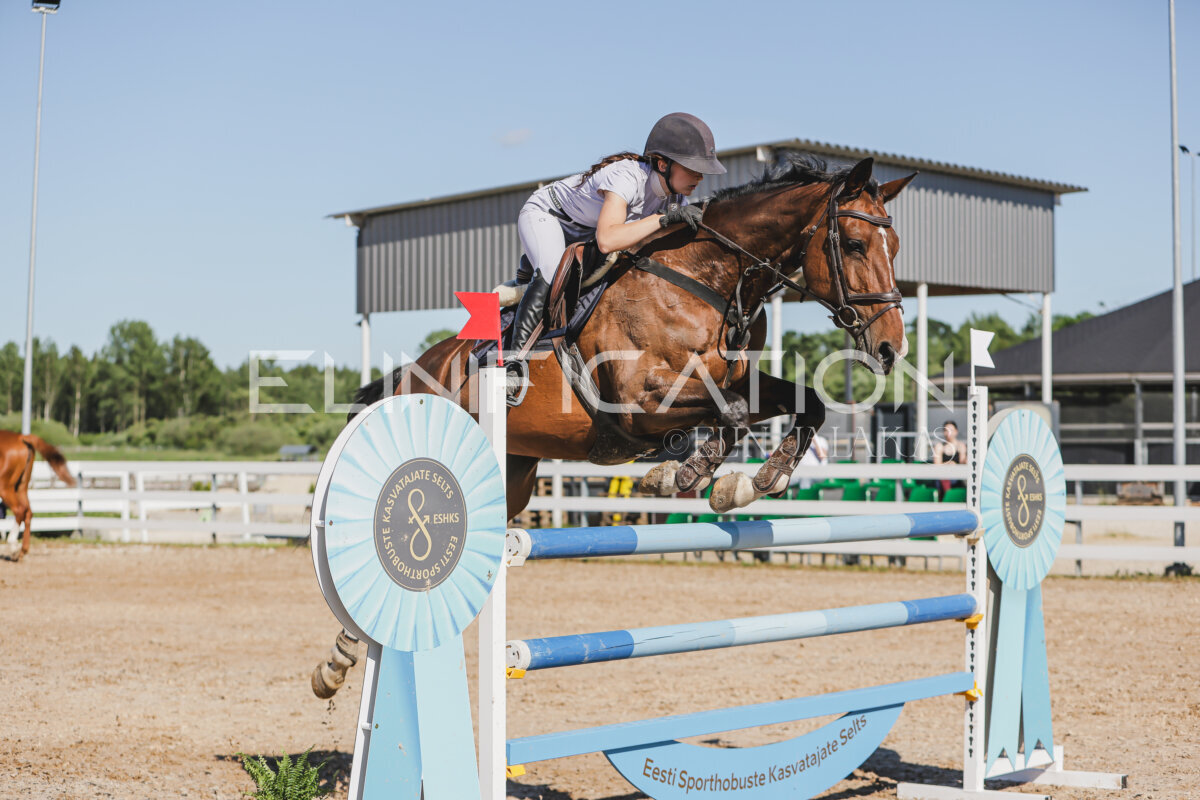 Gramina_Jaanipaev_2026_130_043