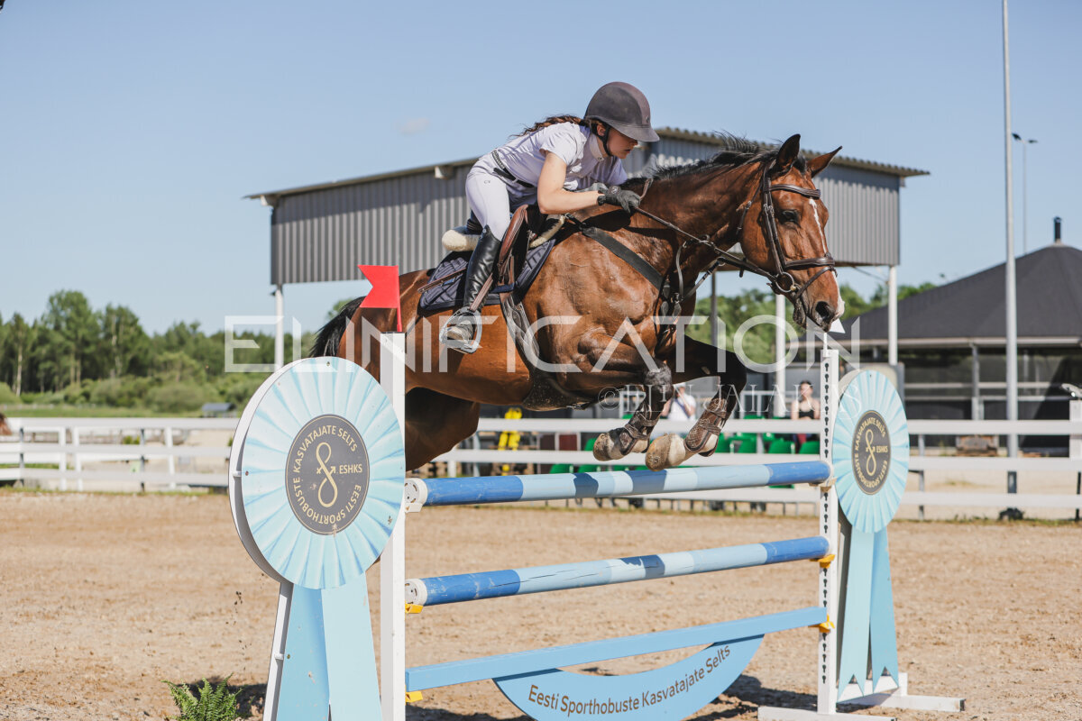Gramina_Jaanipaev_2026_130_044