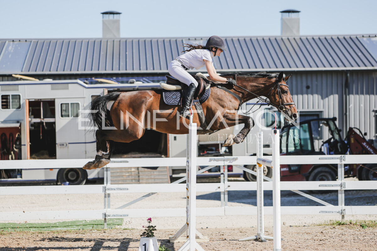 Gramina_Jaanipaev_2026_130_055