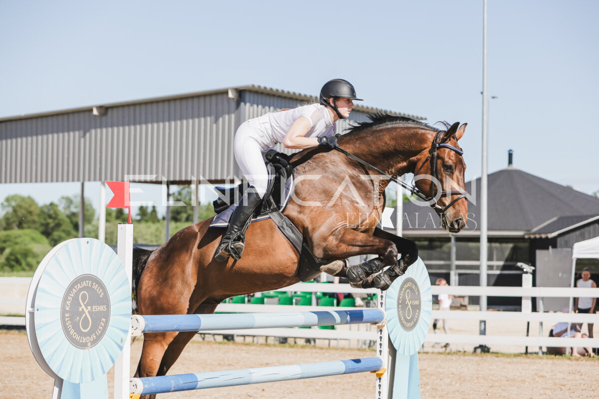 Gramina_Jaanipaev_2026_130_056