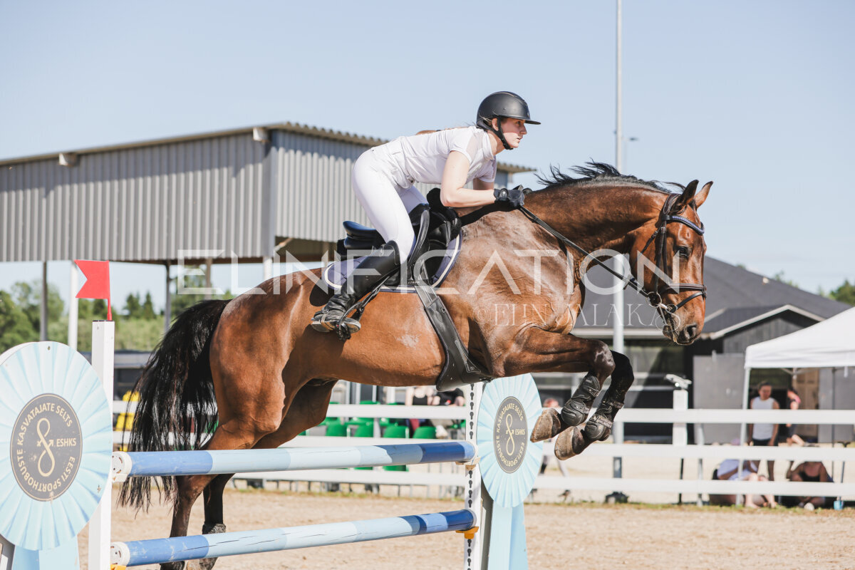 Gramina_Jaanipaev_2026_130_058