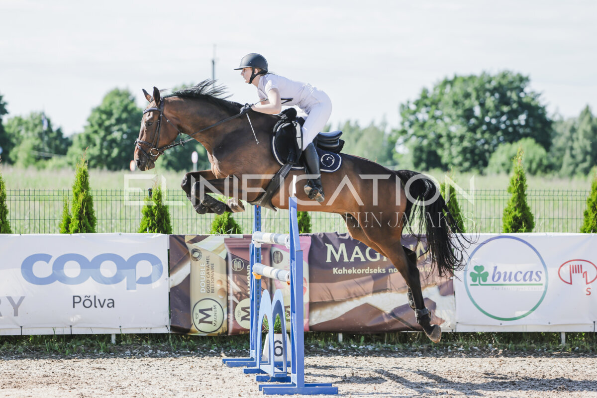 Gramina_Jaanipaev_2026_130_062