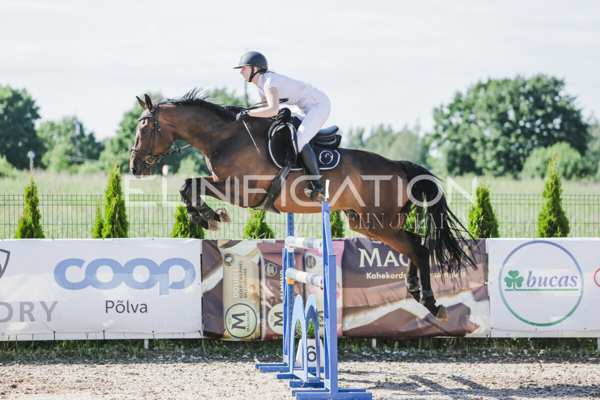Gramina_Jaanipaev_2026_130_063