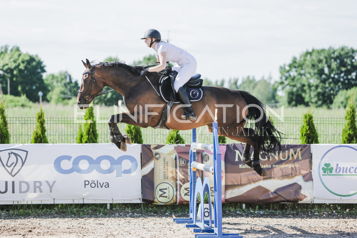 Gramina_Jaanipaev_2026_130_064