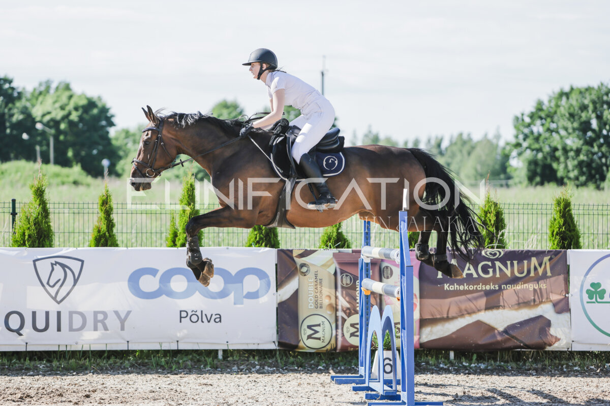 Gramina_Jaanipaev_2026_130_065