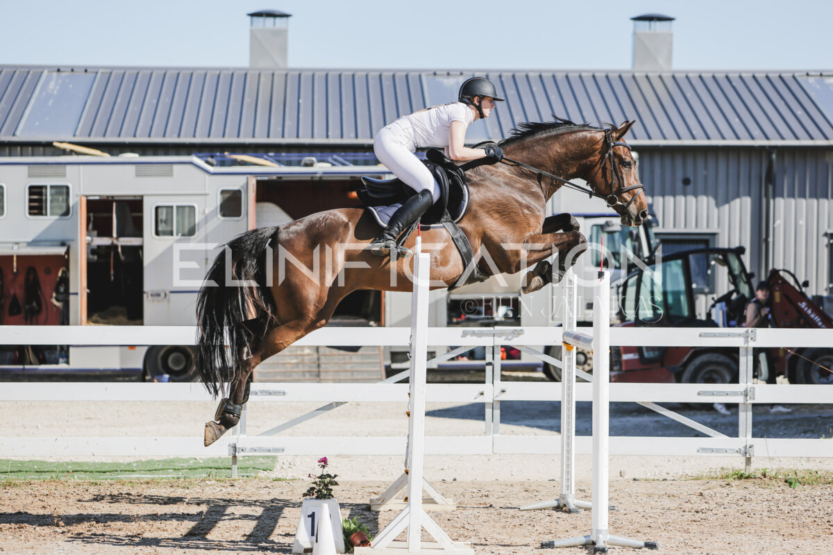 Gramina_Jaanipaev_2026_130_066