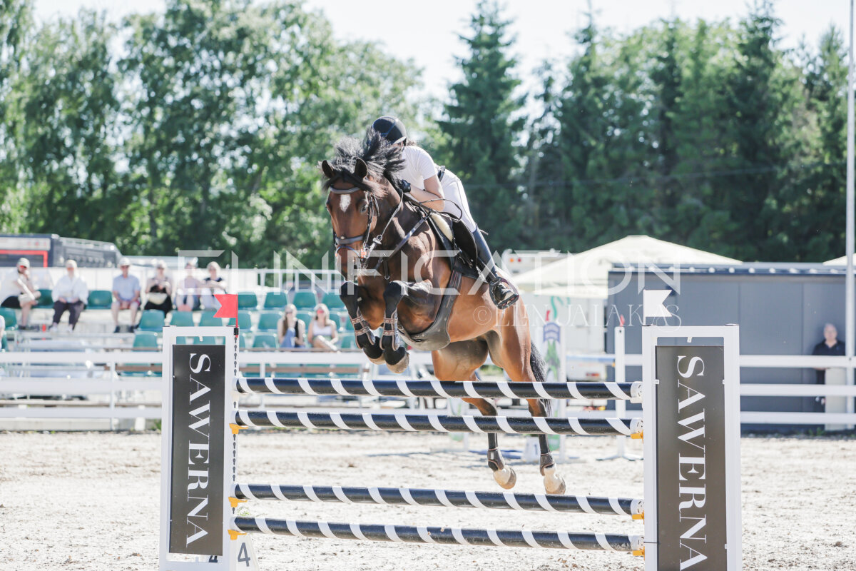 Gramina_Jaanipaev_2026_130_072