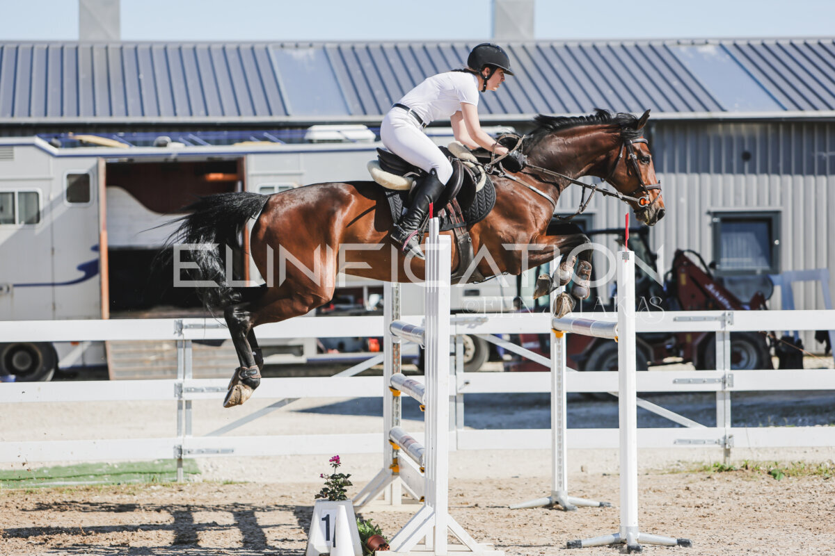 Gramina_Jaanipaev_2026_130_073