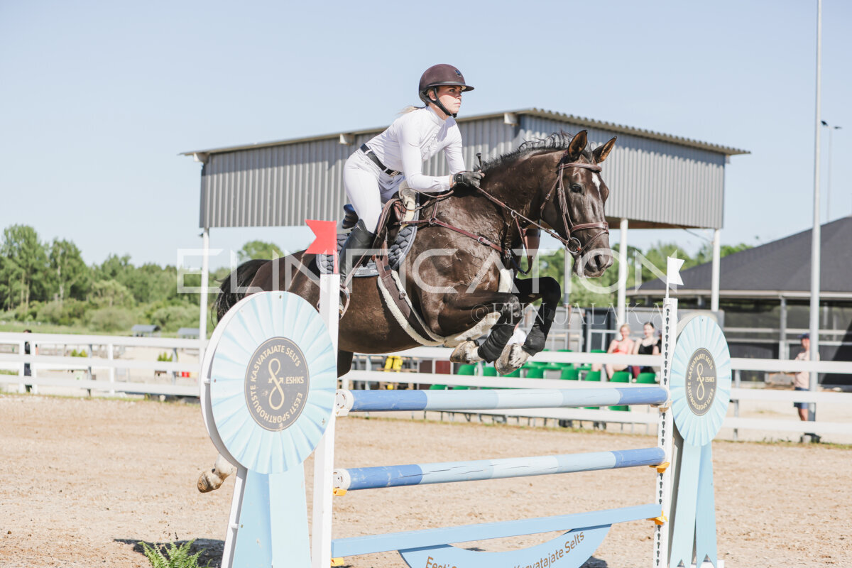 Gramina_Jaanipaev_2026_130_084