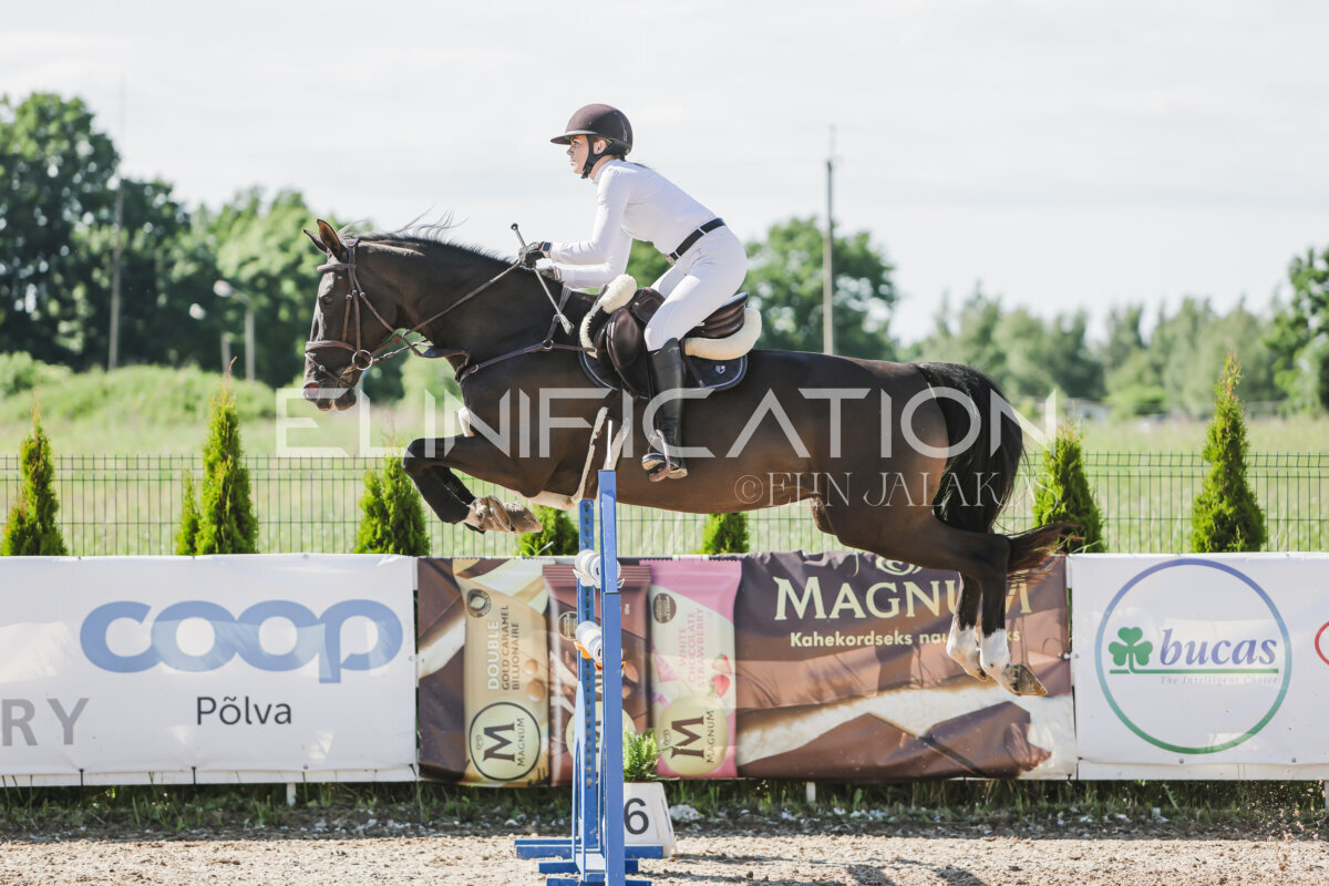 Gramina_Jaanipaev_2026_130_091