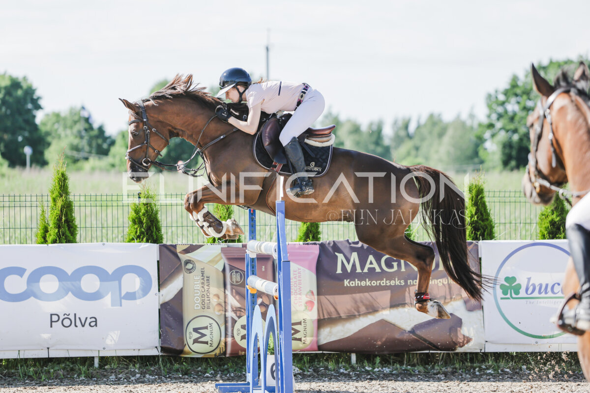 Gramina_Jaanipaev_2026_130_113