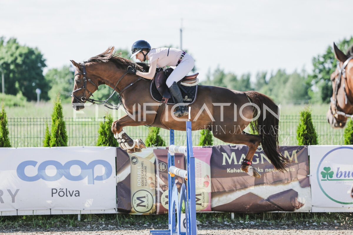 Gramina_Jaanipaev_2026_130_114