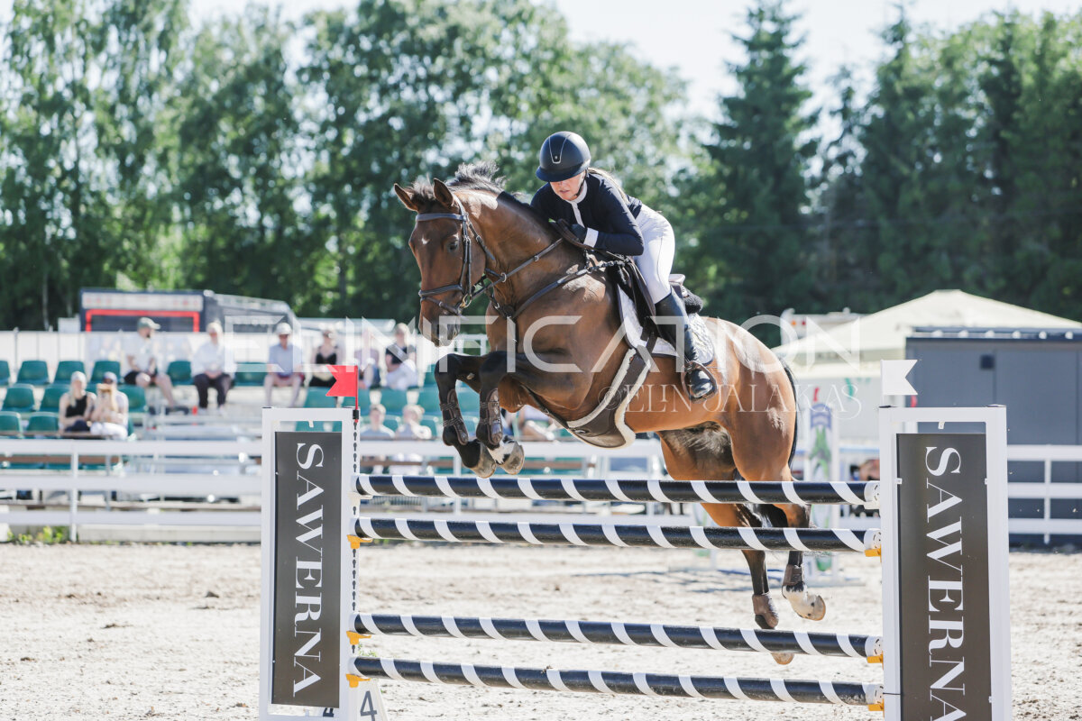 Gramina_Jaanipaev_2026_130_121