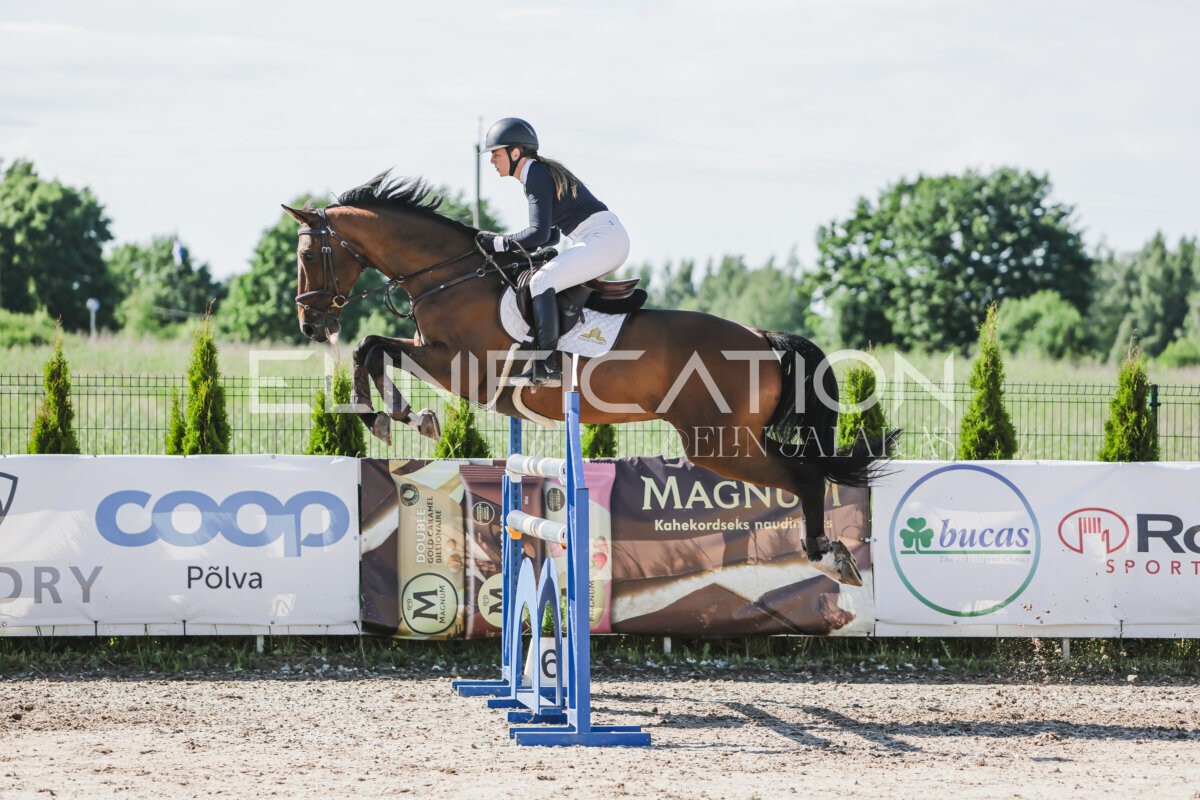 Gramina_Jaanipaev_2026_130_123