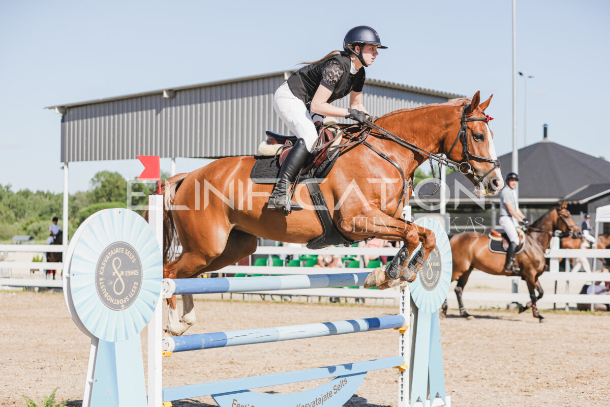 Gramina_Jaanipaev_2026_130_129