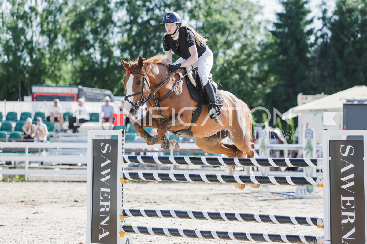 Gramina_Jaanipaev_2026_130_131