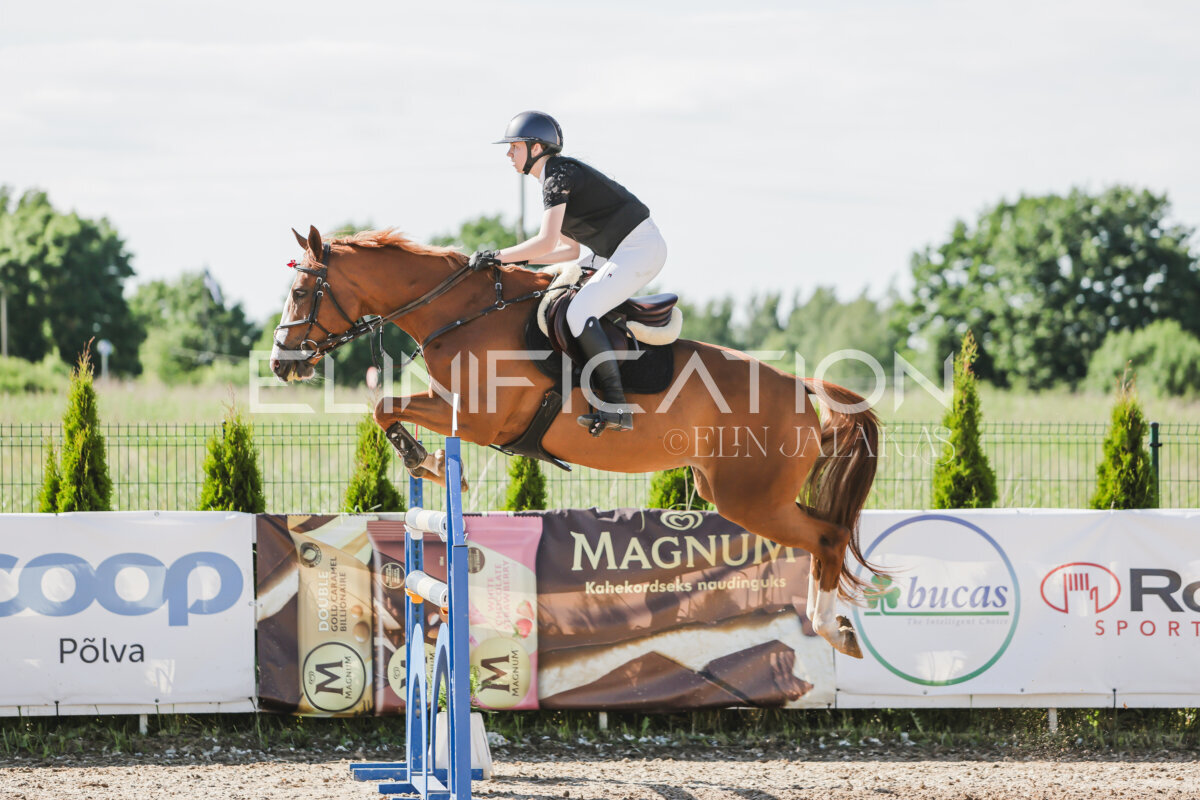 Gramina_Jaanipaev_2026_130_132