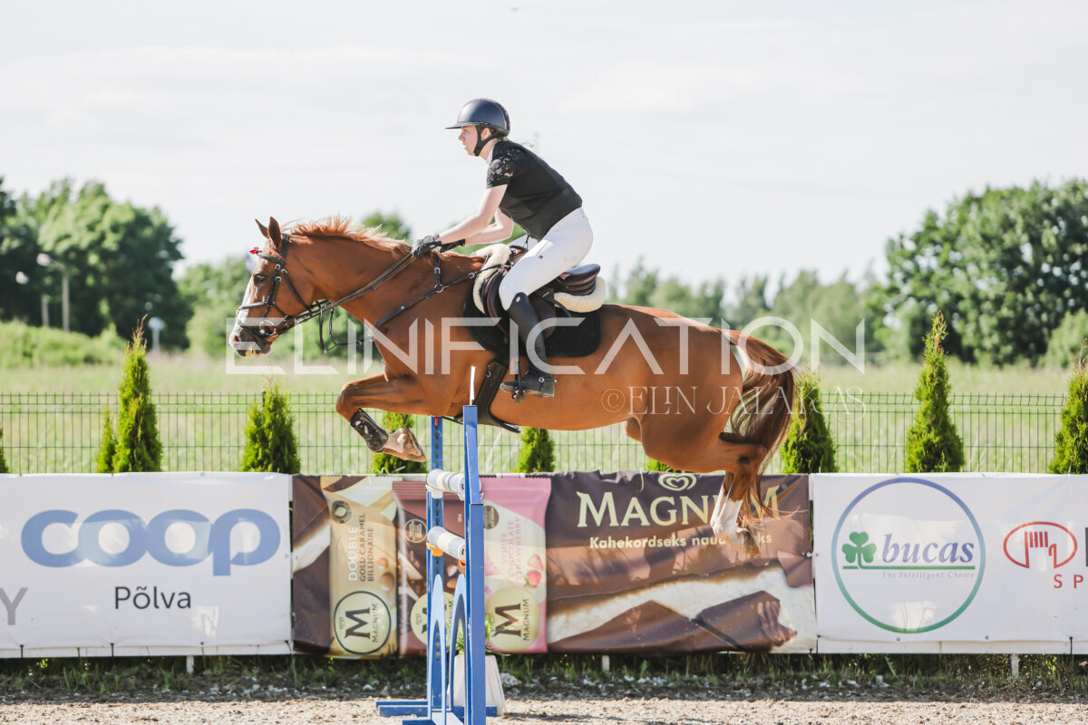 Gramina_Jaanipaev_2026_130_133