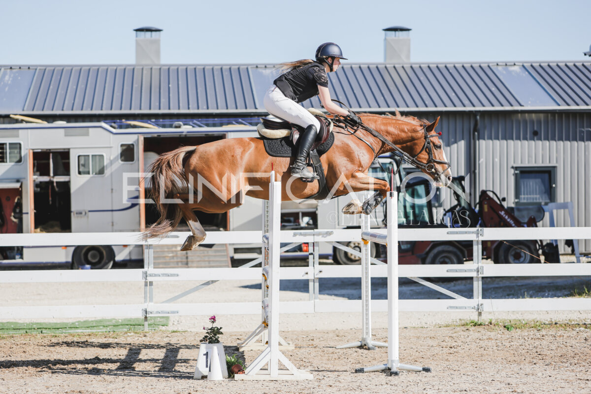 Gramina_Jaanipaev_2026_130_136