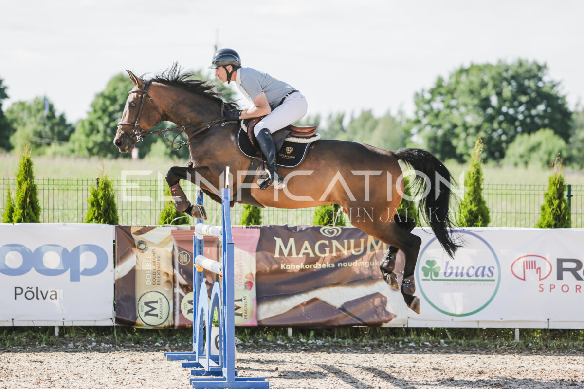 Gramina_Jaanipaev_2026_130_140