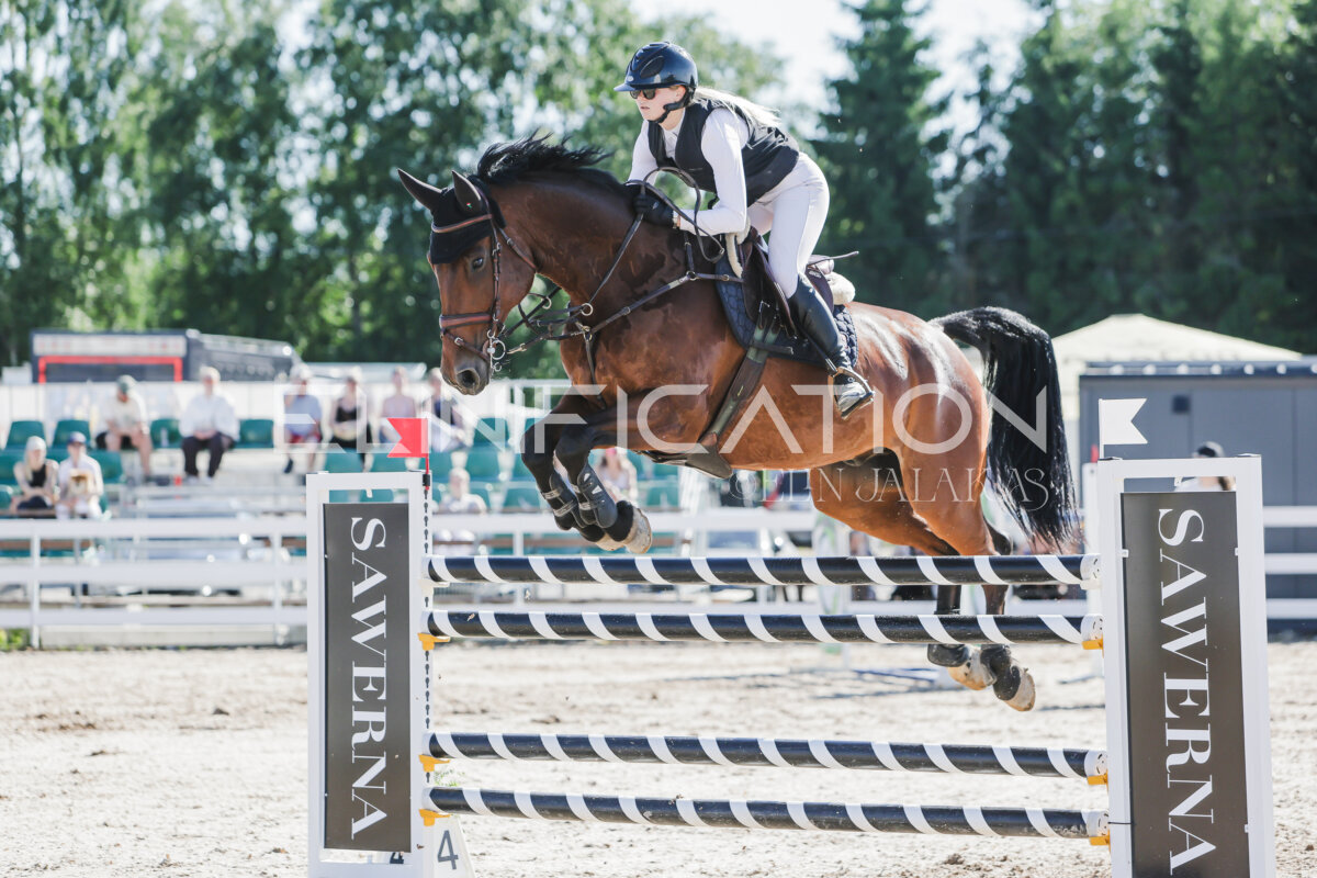 Gramina_Jaanipaev_2026_130_144