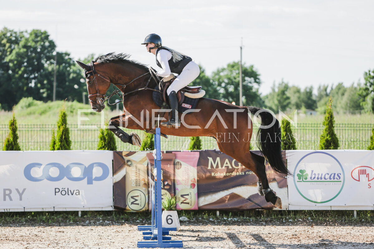 Gramina_Jaanipaev_2026_130_146