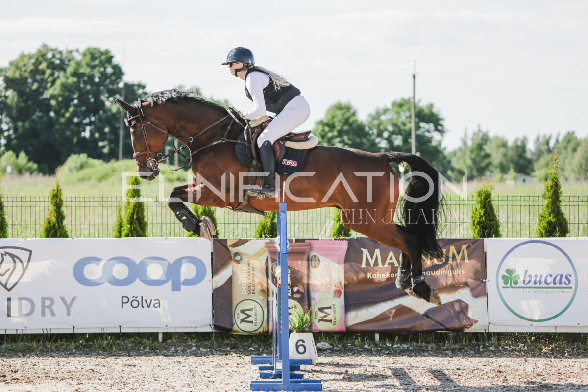 Gramina_Jaanipaev_2026_130_147